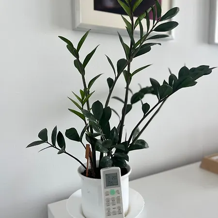 Apartment Eurovea Tower 21p Amazing View *